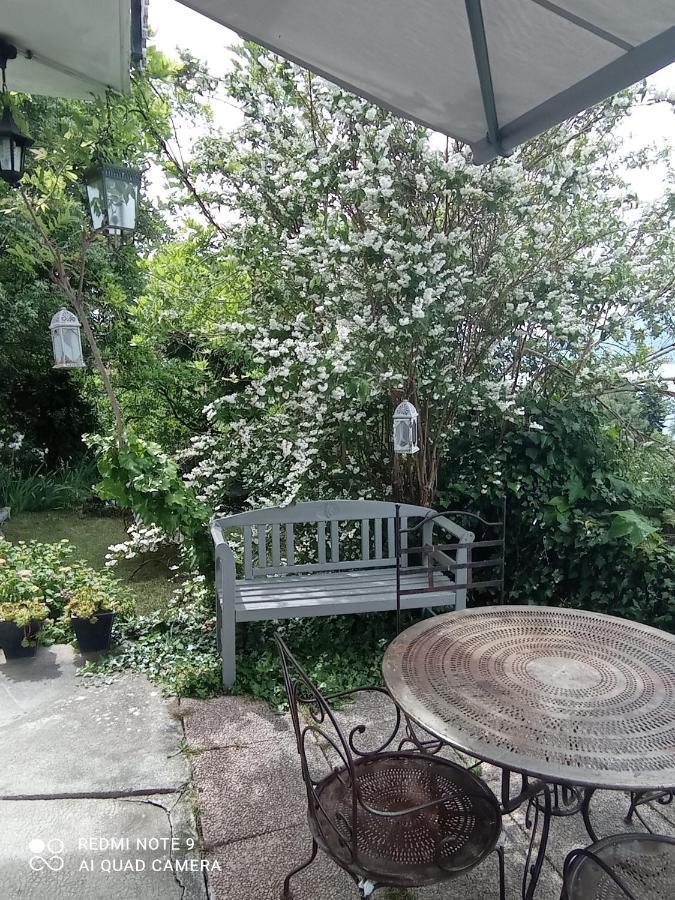 Villa Le Lac Cottage Au Bord Du Lac D'Annecy - Chambre Chez L'Habitant - Les Terrasses Du Lac Veyrier-du-Lac Εξωτερικό φωτογραφία