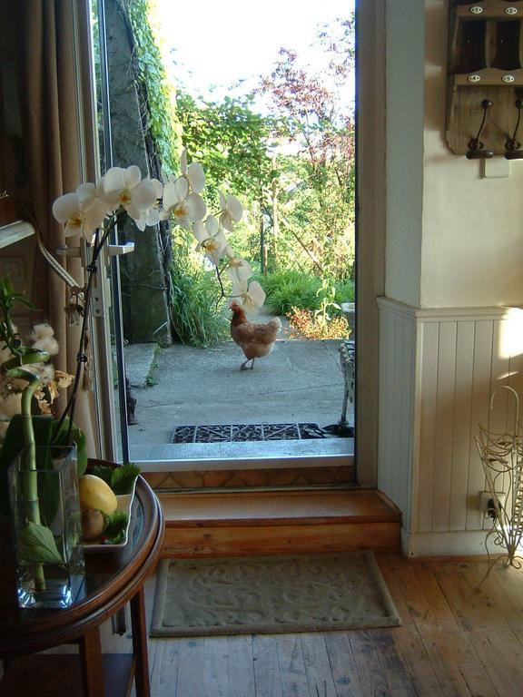 Villa Le Lac Cottage Au Bord Du Lac D'Annecy - Chambre Chez L'Habitant - Les Terrasses Du Lac Veyrier-du-Lac Εξωτερικό φωτογραφία
